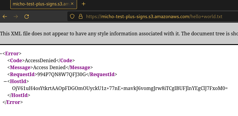 s3 object url with unencoded plus